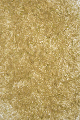 Scattered Basmati Rice Grains Isolated on a White Background