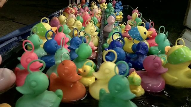 P&ecirc;che aux canards