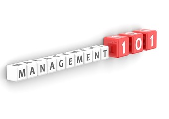Management 101