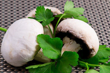 Champignon, Mushrooms, Funghi