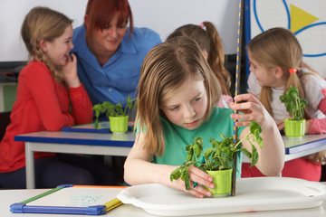 Girl learning about plants in school class