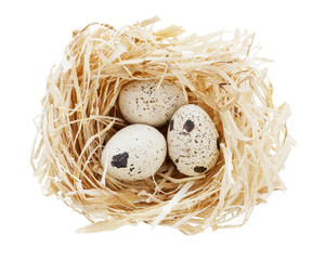 Naklejka na ściany i meble Nest mit drei Eiern isoliert