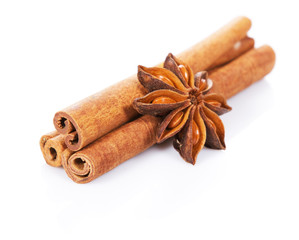 Cinnamon sticks and anisetree