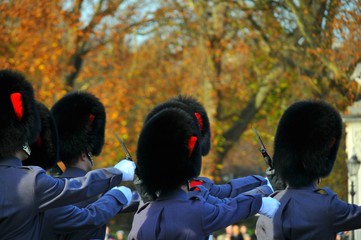Royal Guard