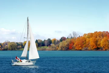 Fotobehang Canadian sailboat in the autumn © Michael Gray