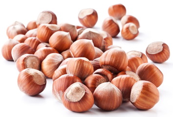 Nuts filberts isolated