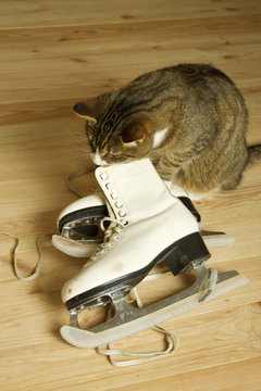 Figure Skates
