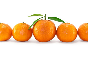 Ripe tangerines