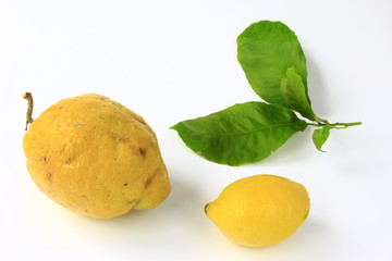 Zitronat- und gewöhnliche Zitrone