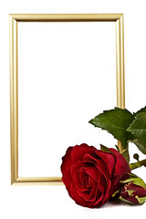 Golden verticaly staying frame behind the red rose