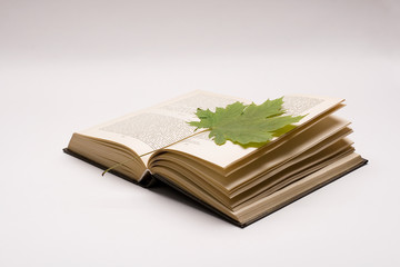 book and maple leaves