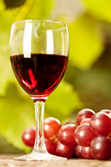 Wine glass and bunch of grapes
