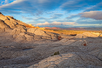 These formations are common in the White Pocket area.