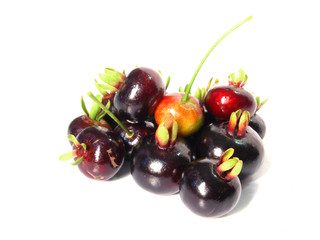 Cherries