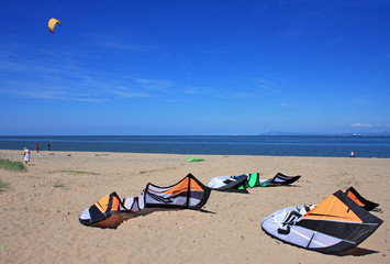 kites on beach