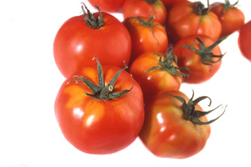 Tomato