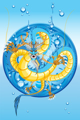 Chinese Water Dragon New Year