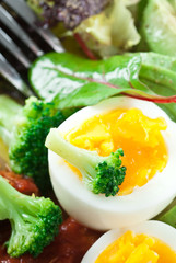 Broccoli Egg Meal