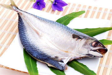 鯖