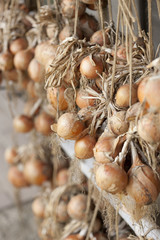 軒先に干したタマネギ