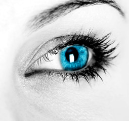 oeil de femme