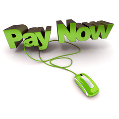 Fototapeta premium Pay now online