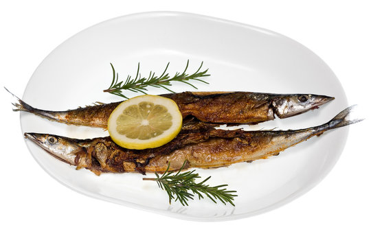 Grilled Mackerel Pike