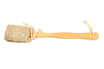 Loofah Brush