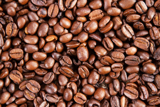 Coffee beans background, close-up photo © George Dolgikh