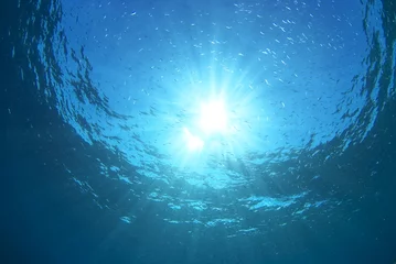 海中から見た太陽 © blueworldsender