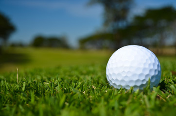 a glof ball on green field
