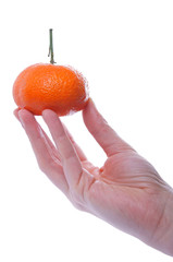 Hand hält eine Mandarine