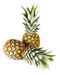 Obraz premium pineapple