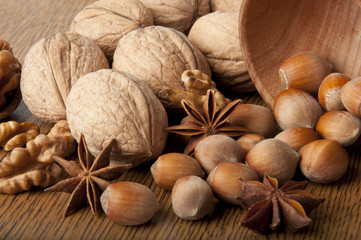 Walnut, wood nut, anise and sesame against a dark background