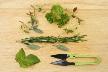 Freshly cut herbs
