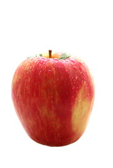 fresh red apple