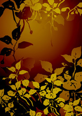 グラフィックパターン