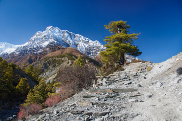 View on  the Annapurna mountain Nepal