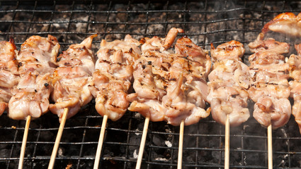 raw kebabs on the grate for grilling