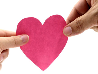 Two hand hold a pink heart on white background