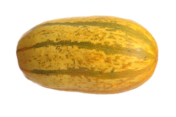 yellow organic spaghetti pumkin