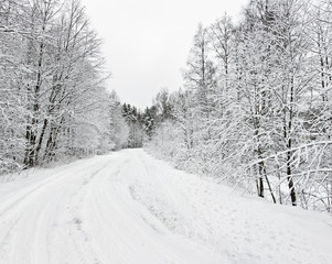 winter landscape