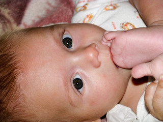 The charming little boy