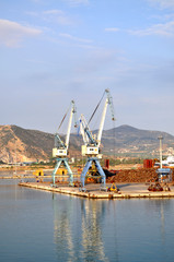 Fototapeta premium Gru