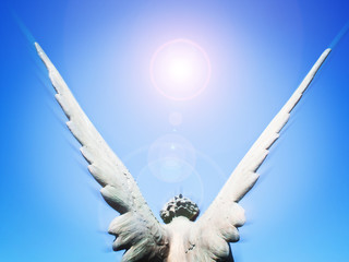angel wings and sun light