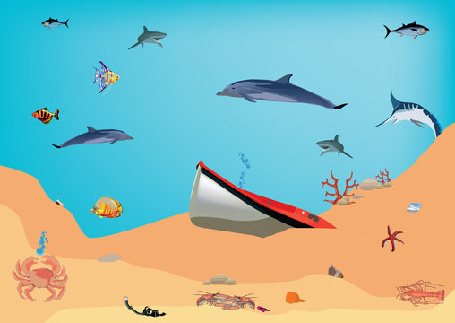 paesaggio sottomarino