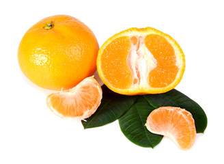 tangerine with green leaves