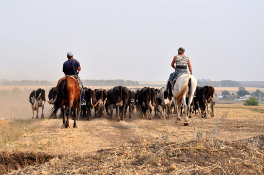 East Cowboys