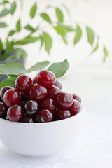 still life in the white tones