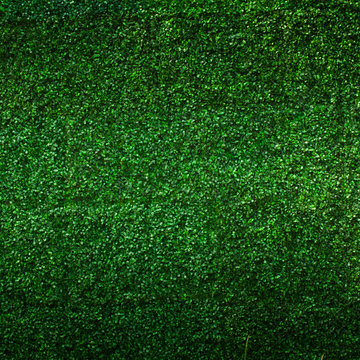 Artificial Grass leaf background